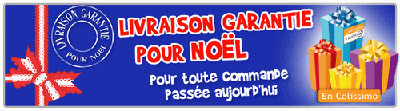 livraison garantie avant Noël
